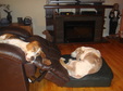 Enlarge photo 35