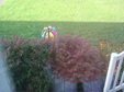 Enlarge photo 39