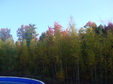 Enlarge photo 40