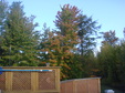 Enlarge photo 41