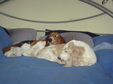 Enlarge photo 43