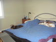 Enlarge photo 42