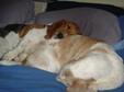 Enlarge photo 45