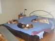 Enlarge photo 46