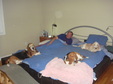 Enlarge photo 50