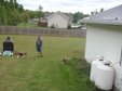Enlarge photo 9