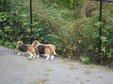 Enlarge photo 18