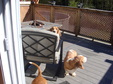 Enlarge photo 19