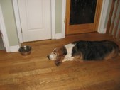 Enlarge photo 11