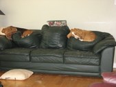 Enlarge photo 19