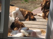 Enlarge photo 23