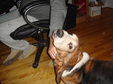Enlarge photo 4