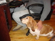 Enlarge photo 8