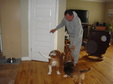 Enlarge photo 11