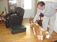 Enlarge photo 14