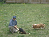 Enlarge photo 30