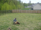 Enlarge photo 31