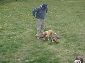 Enlarge photo 33