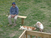 Enlarge photo 35