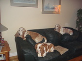 Enlarge photo 36