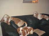 Enlarge photo 37