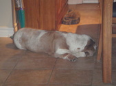 Enlarge photo 38