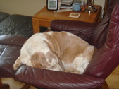 Enlarge photo 39