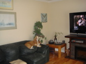 Enlarge photo 26