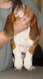 Enlarge photo 5