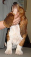Enlarge photo 6