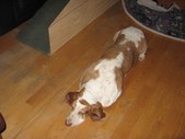 Enlarge photo 15