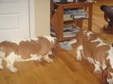 Enlarge photo 2