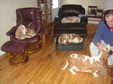 Enlarge photo 7