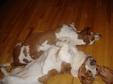 Enlarge photo 13
