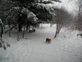 Enlarge photo 13