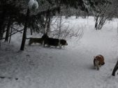Enlarge photo 14