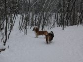 Enlarge photo 16