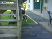 Enlarge photo 15