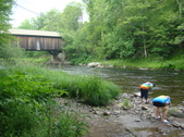 Enlarge photo 109