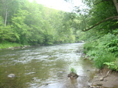 Enlarge photo 110