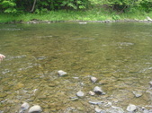 Enlarge photo 112