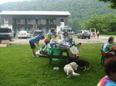 Enlarge photo 117