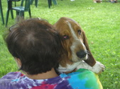 Enlarge photo 121