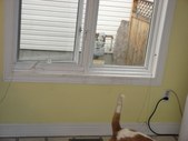 Enlarge photo 23