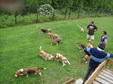 Enlarge photo 13
