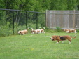 Enlarge photo 14