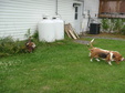 Enlarge photo 17