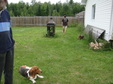 Enlarge photo 18