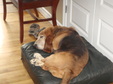 Enlarge photo 21