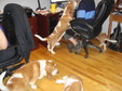 Enlarge photo 22